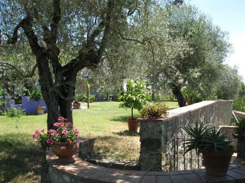 Agroturismo Agriturismo Miscianello