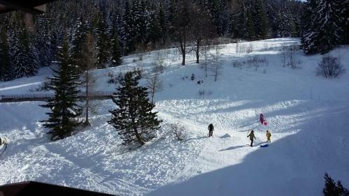 Duplex Apartment Right At The Ski Lift Tracks