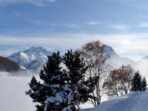 Apartamento Ansloboys Montagne A2