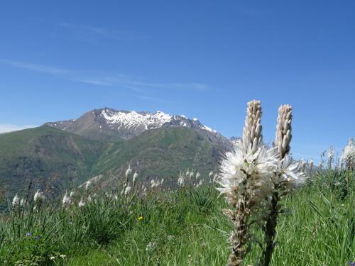Apartamento Ansloboys Montagne A2