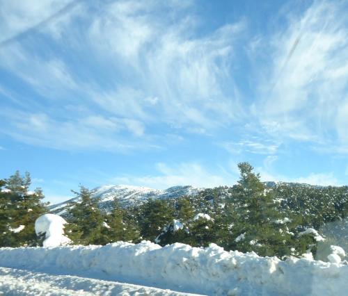 Apartment Face Aux Pistes