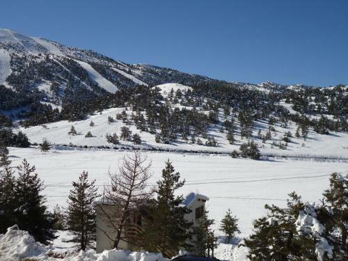 Apartment Face Aux Pistes