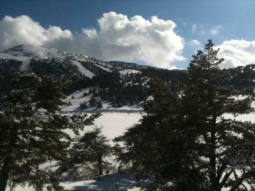 Apartment Face Aux Pistes