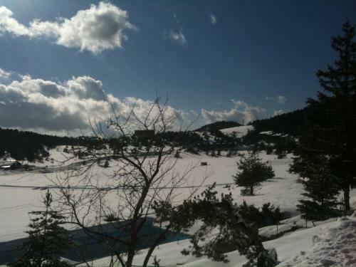 Apartment Face Aux Pistes