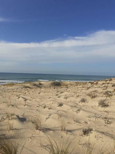 Apartamento Entre Bassin Et Oc�an