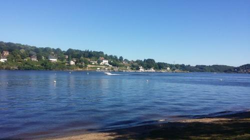Les Foug�res Du Lac