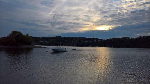 Les Foug�res Du Lac