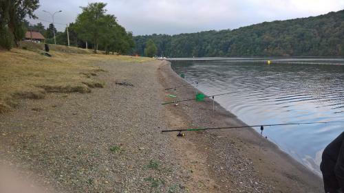 Les Foug�res Du Lac
