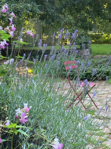 Bed & Breakfast Moulin De Champrond -montmirail -sarthe
