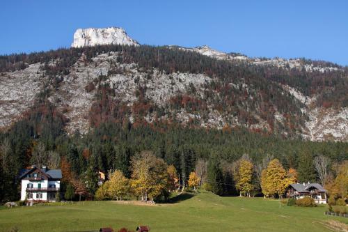 Hotel Gasthof Zum Hirschen
