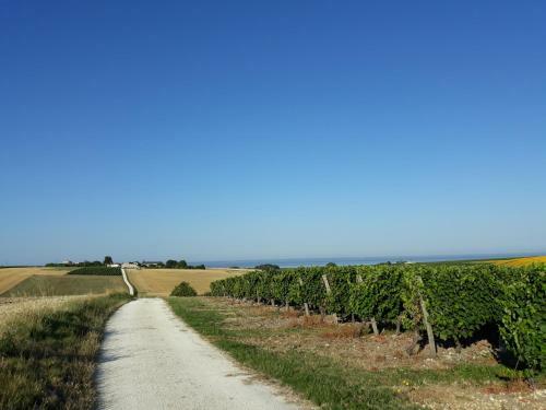Bed & Breakfast Logis De Chenac