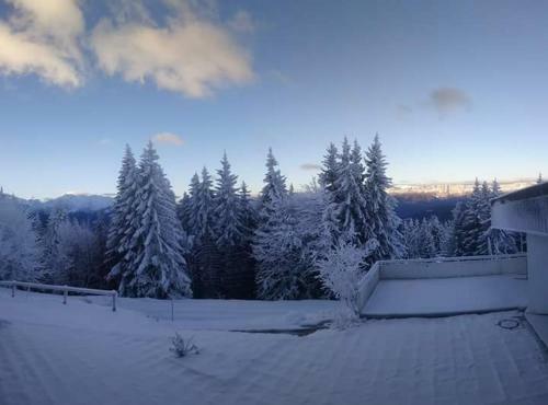 Apartamento Clos Des Gentianes