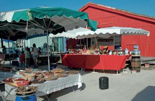 L'oasis Des Tamaris