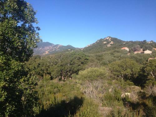 Bed & Breakfast Chambre D'h�tes C�t� Maquis