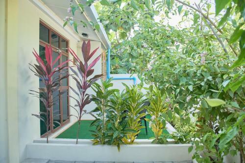 Hostal Balma Beach Inn