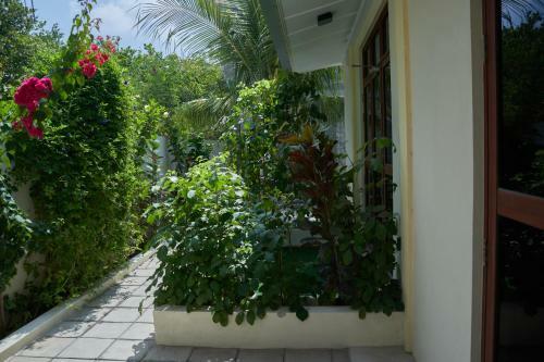 Hostal Balma Beach Inn