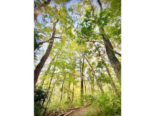 Hostal Woody House - Vacation Stay 81687v