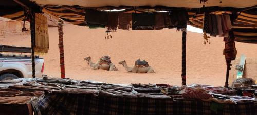 Wadi Rum Desert Eid Camp & Cave & Tours