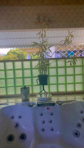 Windbreak Villa