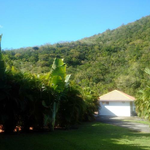 Nature Paradise, Villa & Cottage
