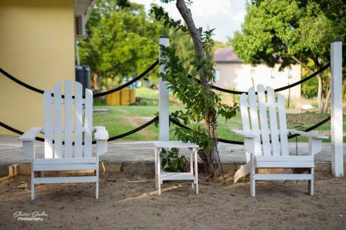 Bed & Breakfast Treasure Beach Inn And Bar