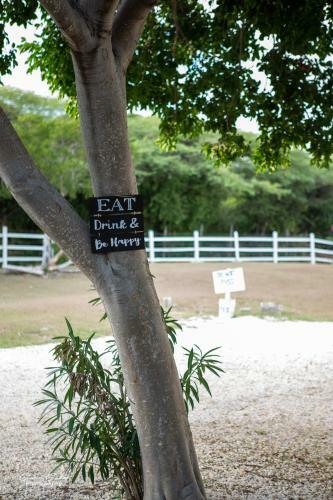 Bed & Breakfast Treasure Beach Inn And Bar