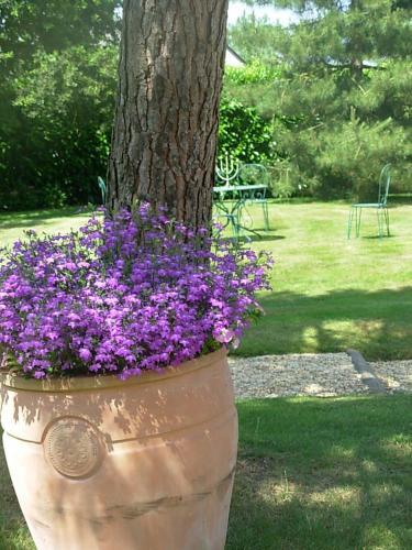 Bed & Breakfast Le Sens Des H�tes
