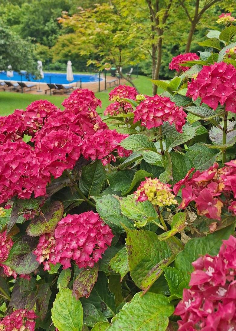 Hotel Palaci�n De To�anes