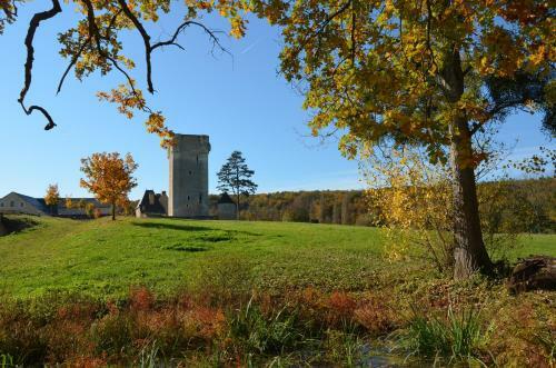Bed & Breakfast Ch�teau De Mazi�res