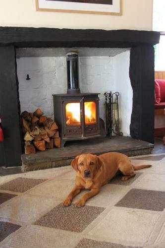 Embleton Spa Hotel & Apartments