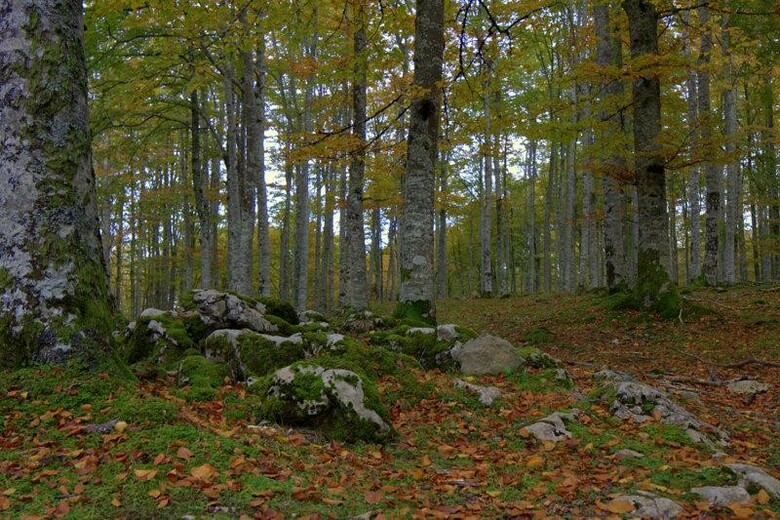 Hostal Rural Elosta