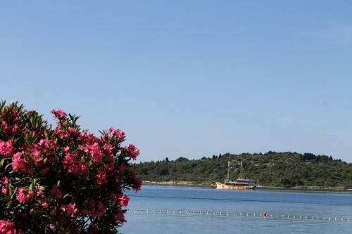 Apartamentos Villa Aurelia Vodice