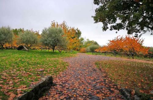 Agroturismo Case Perrotta