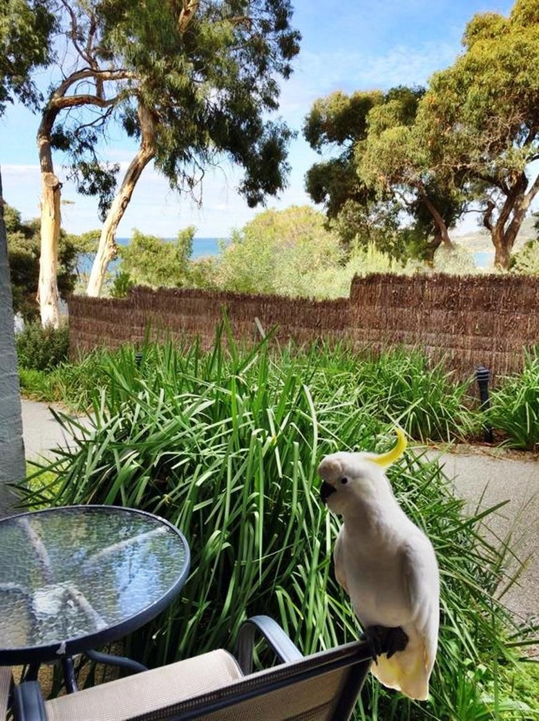 Bed & Breakfast Chatby Lane Lorne