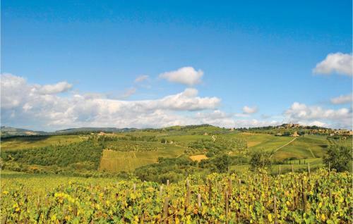 Olivo Gaiole In Chianti