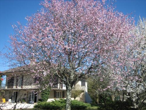 Bed & Breakfast Chambres D'h�tes Terre2princes