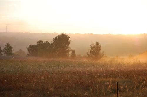 Bed & Breakfast Chambres D'h�tes Terre2princes