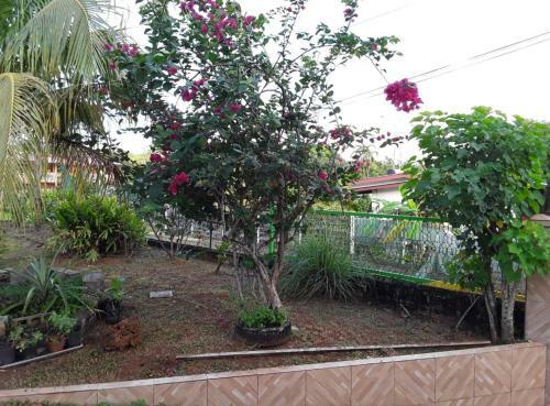 Chambre Priv�e Avec Entr�e S�par�e - Villa Avec Jardin