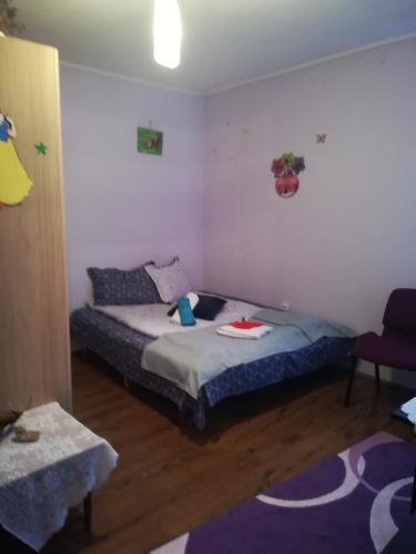 Hostal Casa Crisandri Busteni