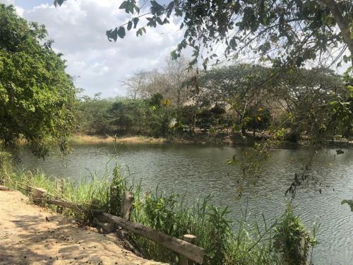 Ponylandia Campestre