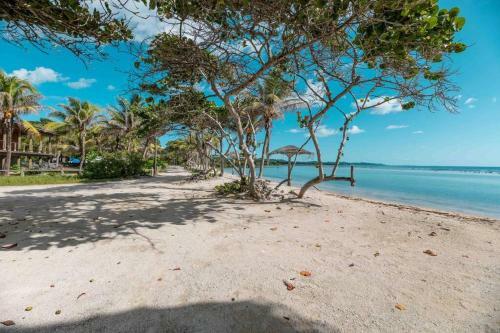 Apartamento Casa Serena Roat�n