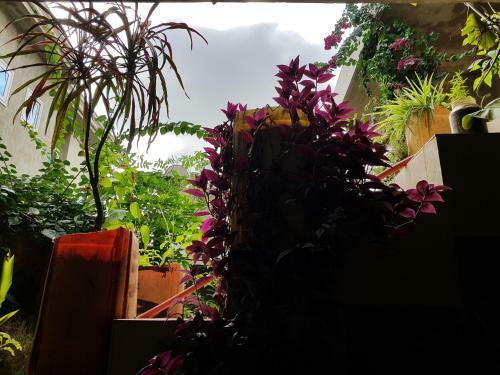 Hostal Who Art We Guest House