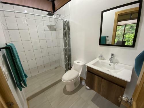 Lodge Pacheco Tours Rainforest Cabins