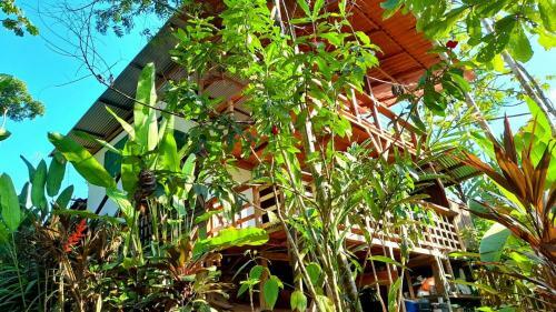 Albergue Greenpoint Drake Bay