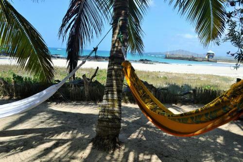 Bed & Breakfast The Isabela Beach House