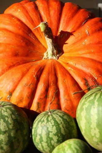 Bed & Breakfast Maison D'h�tes Lassaubatju