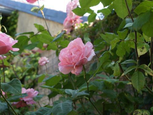 Bed & Breakfast Les G�tes De Ch�risey