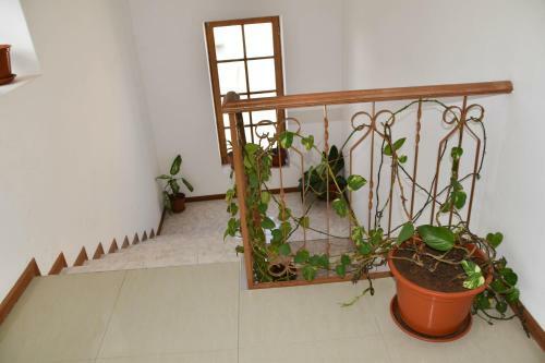Hotel Residencial Vitoria