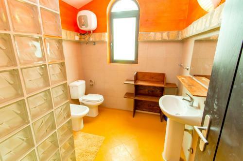 Bed & Breakfast Surfactivity Guest House