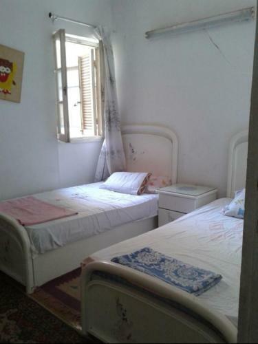 Nice Room In Cozy Apartment Nice Area